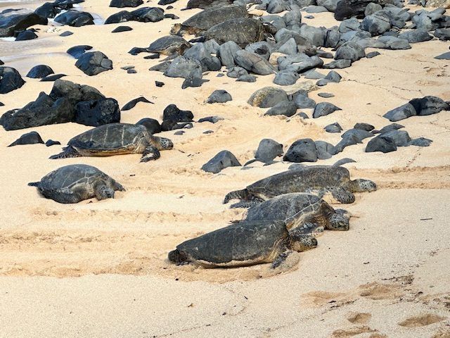 Travel moment from Courtney's trips